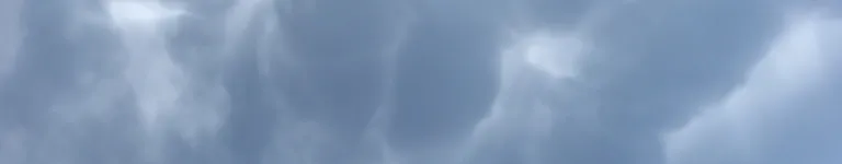 Tracethedragon Banner