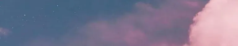Anna-Artz Banner