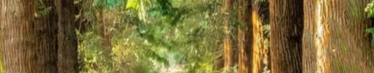 SuperAngel Banner