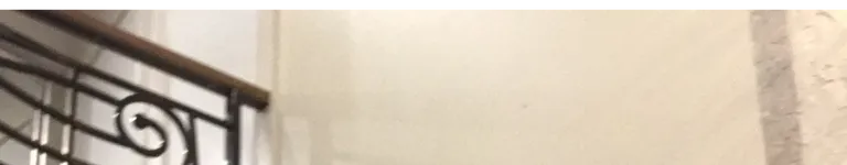 Mikesmulkowski Banner