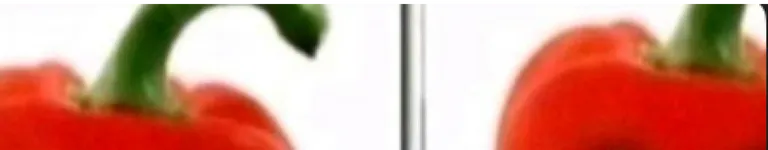 axolotlfroppy Banner