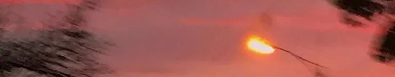 leonagrace2009 Banner