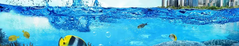 DEBTHSHARK Banner