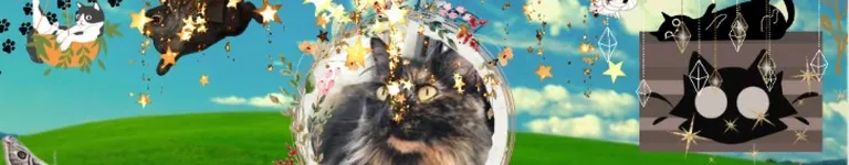 0p4l1nTh3St4rz Banner