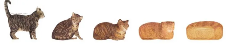 oreothetorpedo Banner