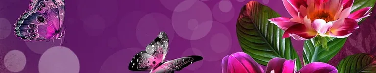 ArellaAntonio Banner