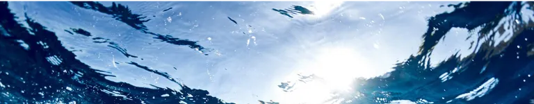 FluffWarriorCat Banner