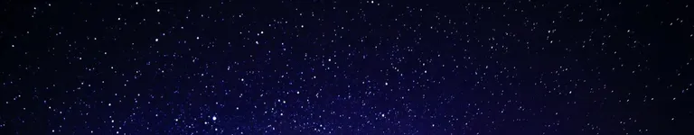 Alonso-Viveros Banner