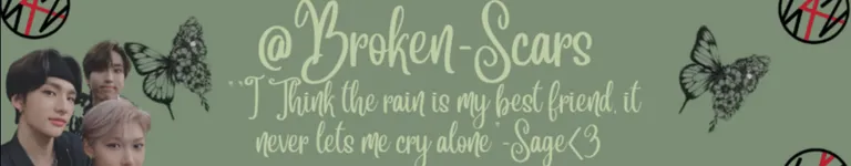 Broken-scars Banner