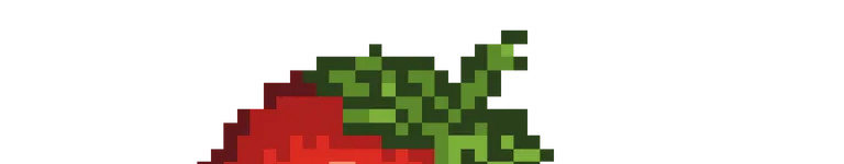 kkonggi Banner