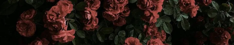 FebreezeRat Banner