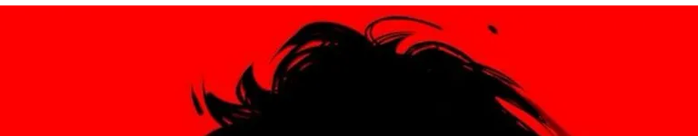 oX-SkullStar-Xo Banner