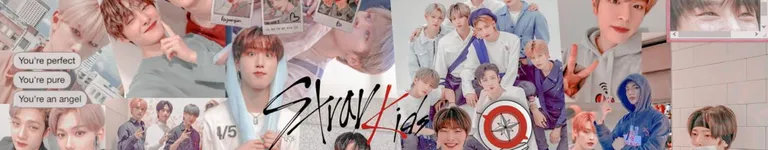 hyunjins-wife Banner