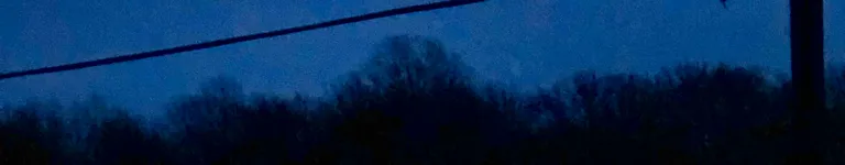 Ascending-ham Banner