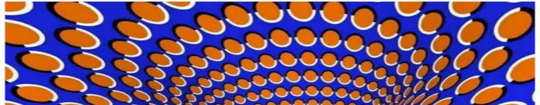 TheVoidFoxX079 Banner