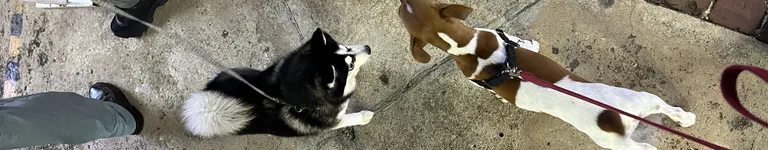 TheLittleArtPpl Banner