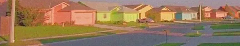 random-bunny-5 Banner