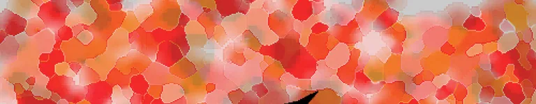 SugarcaneTHHG Banner