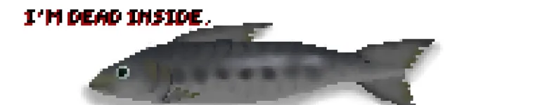 Pebble-D0ts Banner
