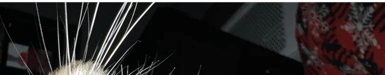 ACoolSkeleton Banner