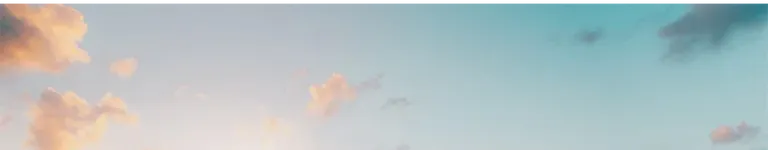 Evelyn221 Banner