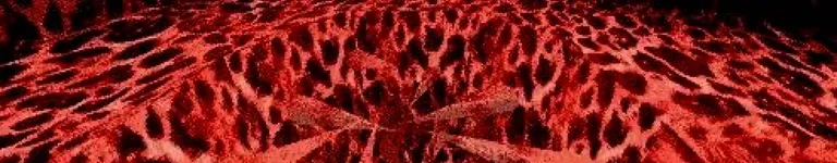 K4N-DI Banner