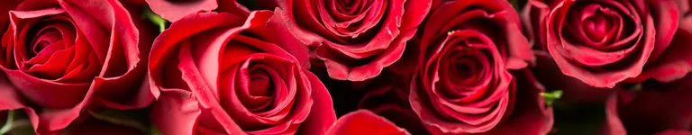 yourlocalsoup Banner