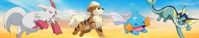 SpacedoutSunkip Banner