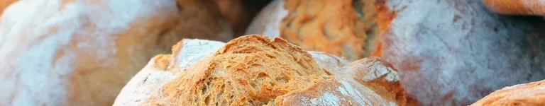 Bread-enjoyer Banner