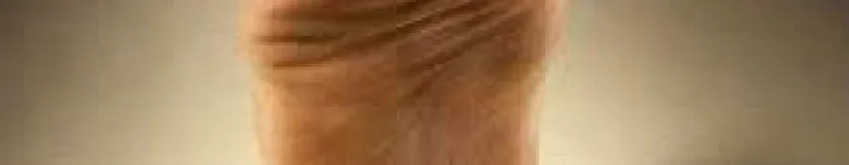 illeaturtoes Banner