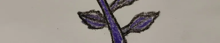 Coco-animations Banner