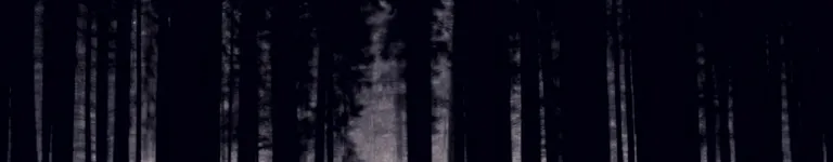 SpringTrap777 Banner