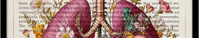 Im-The-D0ctor Banner