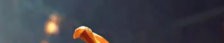 Pumpkinhead99 Banner