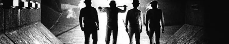 RainbowSerpent Banner