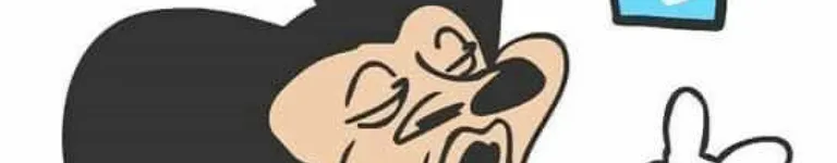 FastFoxyPirate Banner