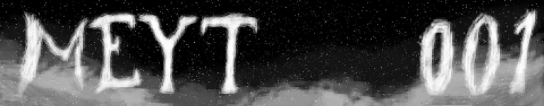 meyt-001 Banner