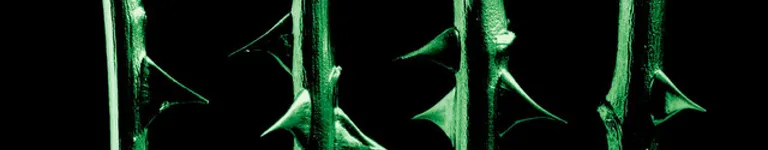 henrydrawstuff Banner