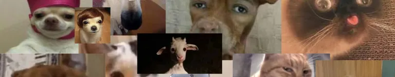 PuppetforMaster Banner