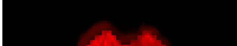 Human-Soul Banner