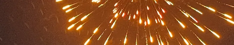 Zoglog Banner