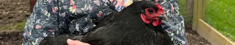 stillherebutnot Banner