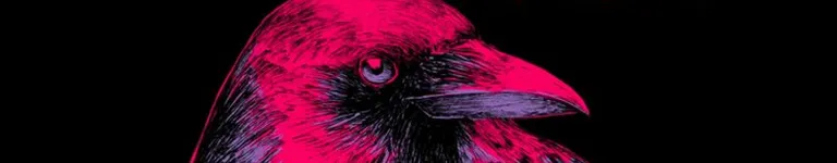 PinkCrow Banner