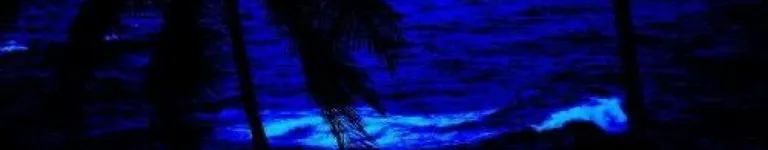 Sabertoothrules Banner