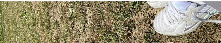 iwasalloverher Banner