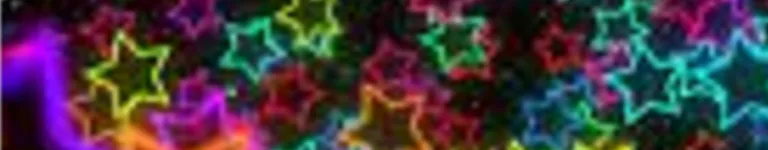 PunzW4st4k3n Banner