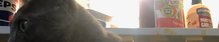 CesarMarshmello Banner