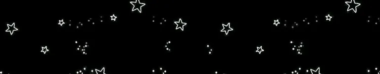 Snowbox Banner