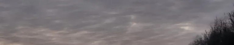 aaxolotlandfrog Banner