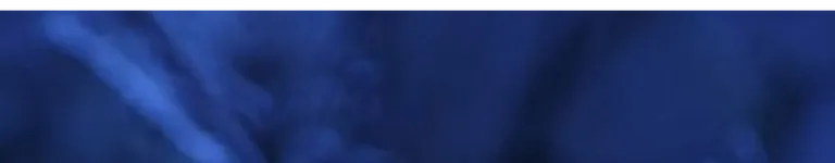 Shiny-Sylveon11 Banner